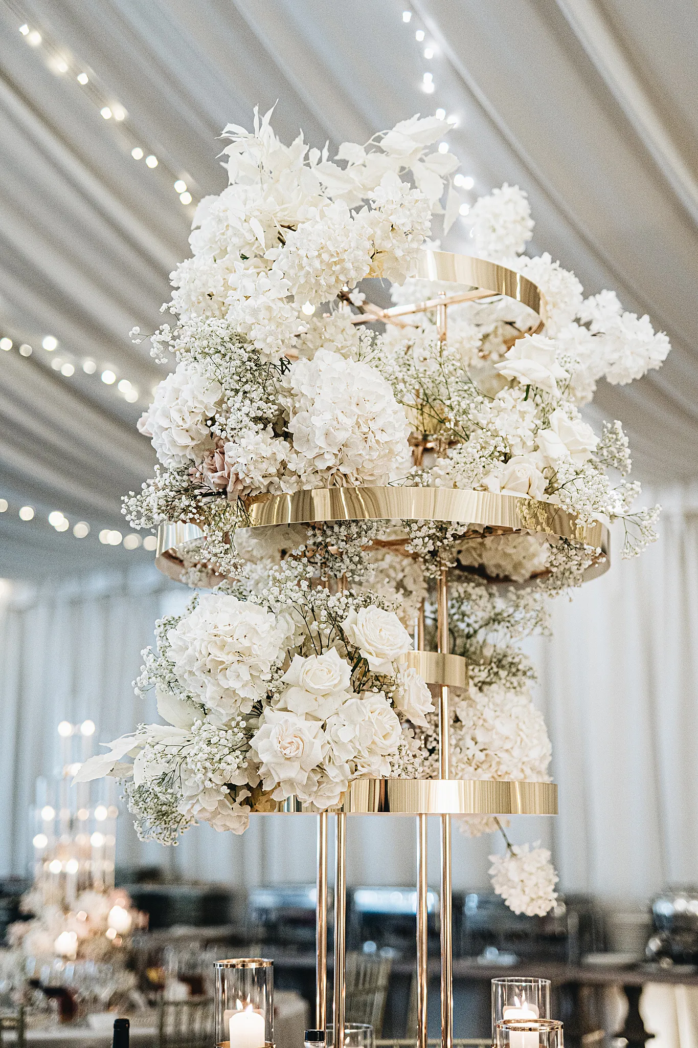 Zdjęcie galerii 146