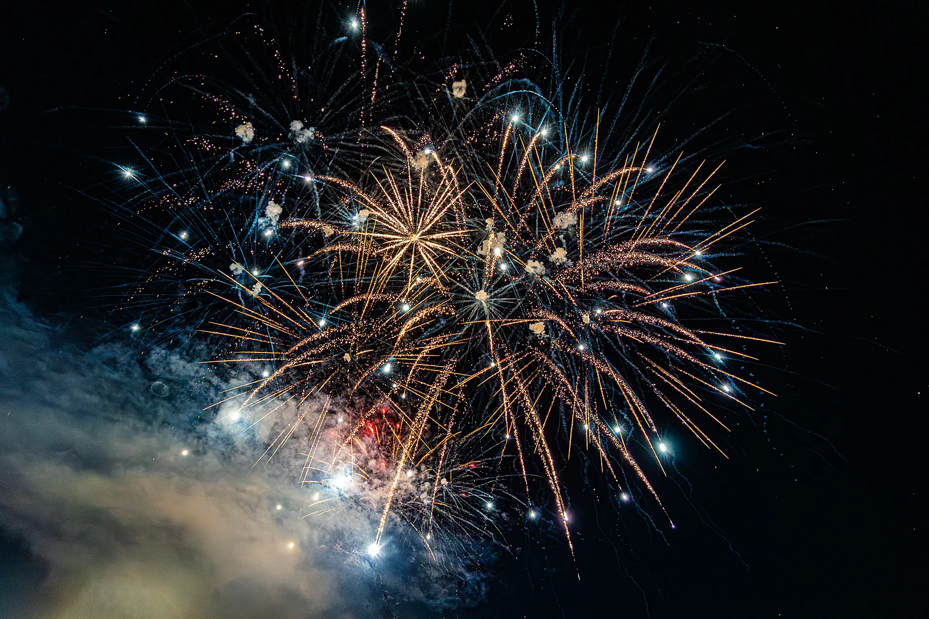 Fotoreportaż ślubny nad zalewem Osiek