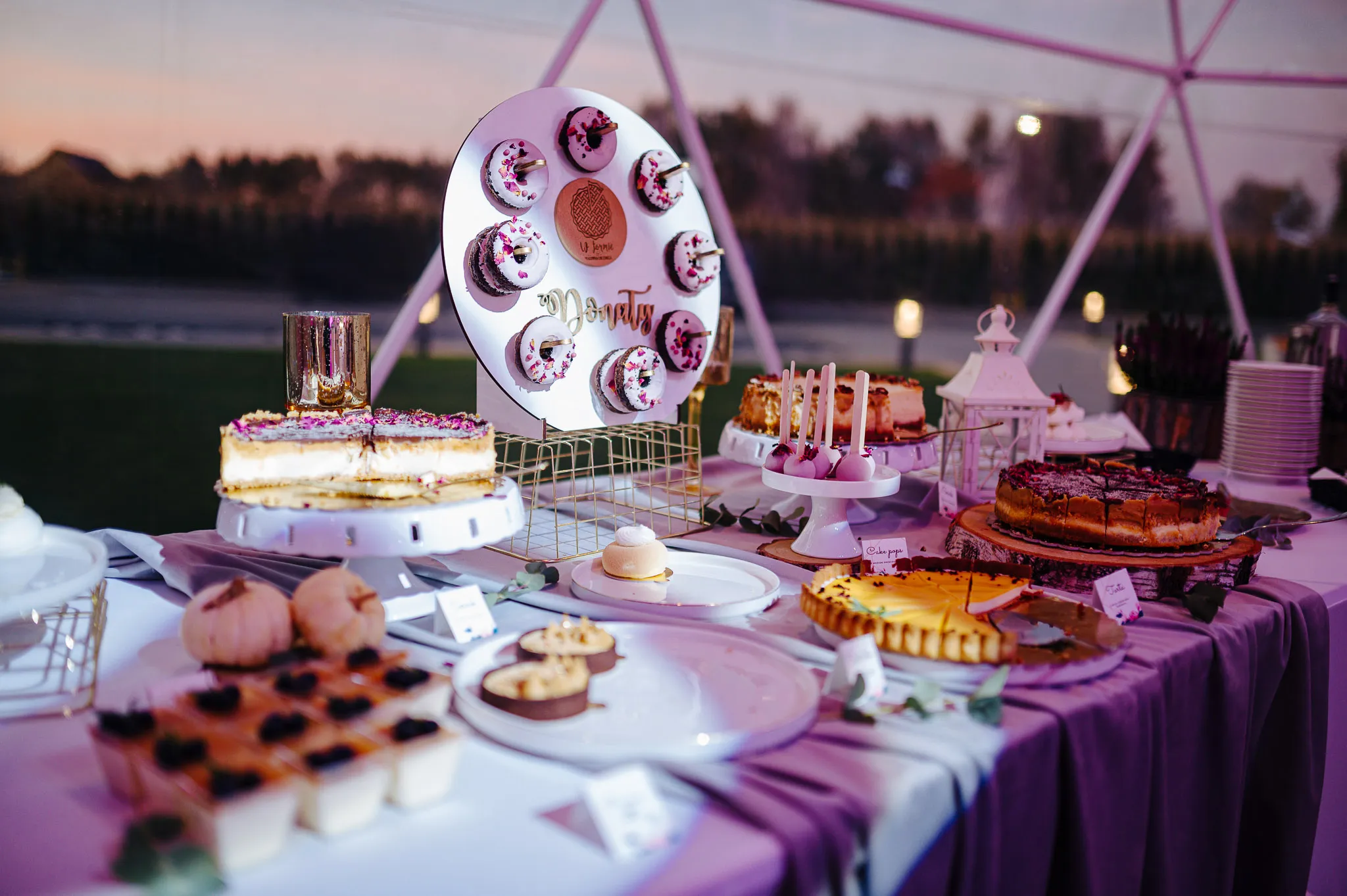 slub i wesele w Scandinavia Resort SPA zator -  fotograf slubny oswiecim